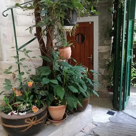 Adriana Downtown سبليت