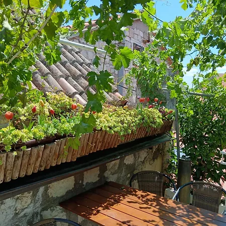 بيت ضيافة Adriana Downtown