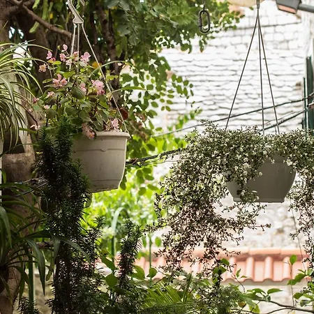 بيت ضيافة Adriana Downtown