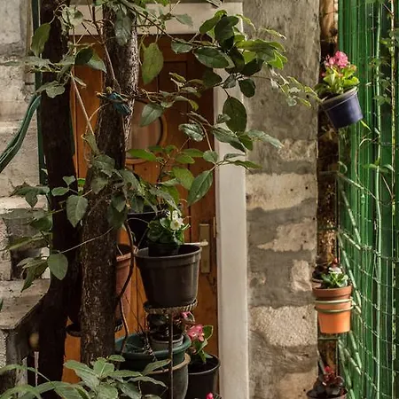 Adriana Downtown سبليت