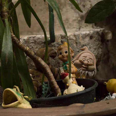 Adriana Downtown بيت ضيافة سبليت