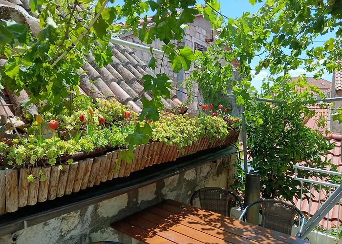 Guest house Adriana Downtown