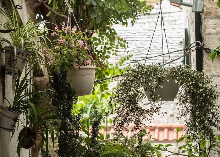 Guest house Adriana Downtown