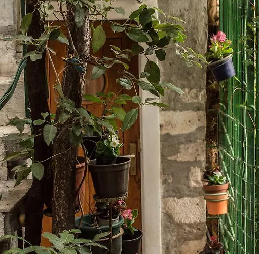 Adriana Downtown Split