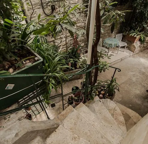 Adriana Downtown 3* ספליט